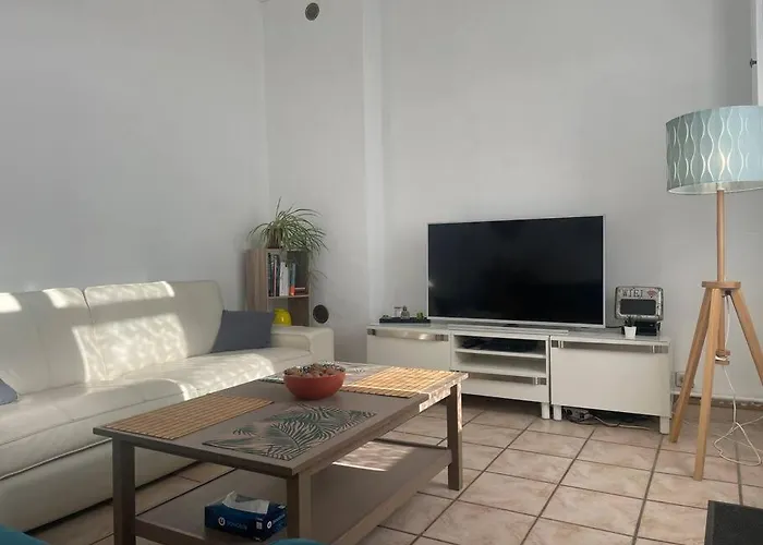 度假居 Maison 2 Equipee Vitry-en-Artois